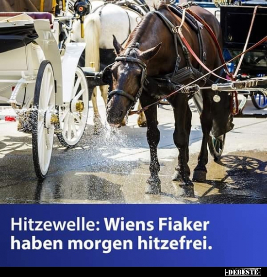 Hitzewelle: Wiens Fiaker haben morgen hitzefrei. - Lustige Bilder | DEBESTE.de