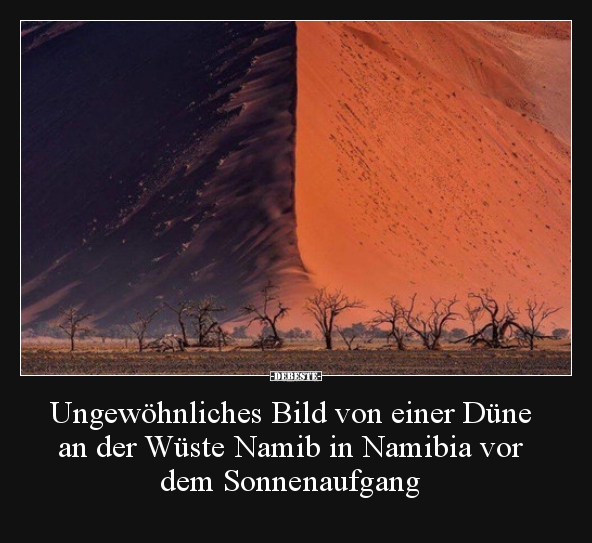 Ungewöhnliches Bild von einer Düne an der Wüste Namib in.. - Lustige Bilder | DEBESTE.de