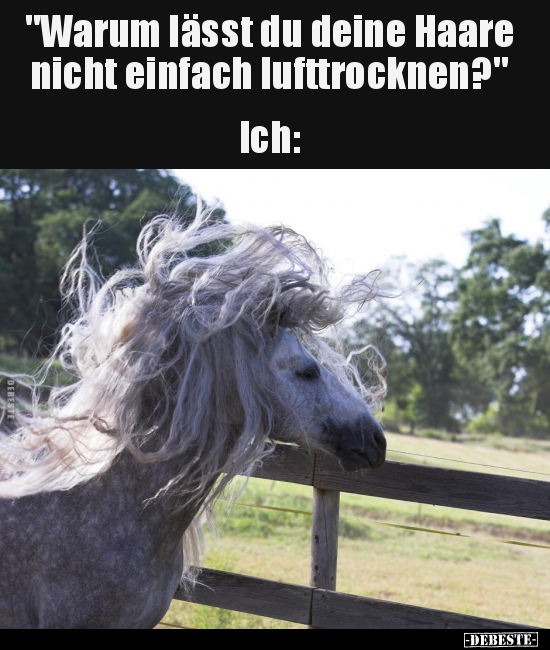 "Warum lässt du deine Haare nicht einfach.." - Lustige Bilder | DEBESTE.de