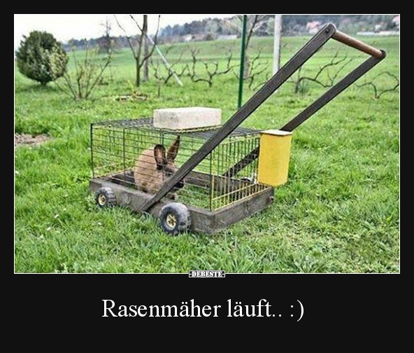 Rasenmäher läuft.. :) - Lustige Bilder | DEBESTE.de