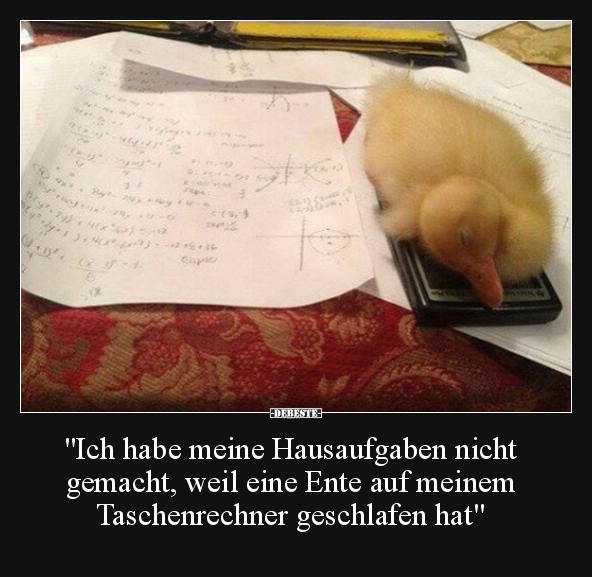 "Ich habe meine Hausaufgaben nicht gemacht, weil eine.." - Lustige Bilder | DEBESTE.de