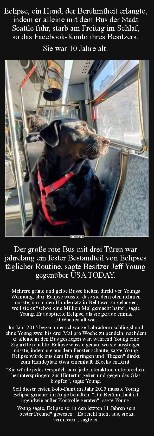 Eclipse, ein Hund, der Berühmtheit erlangte, indem er.. - Lustige Bilder | DEBESTE.de