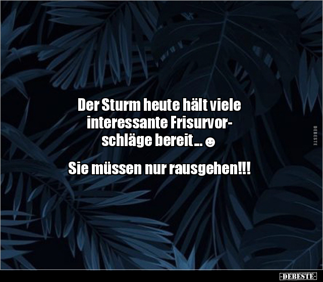 Der Sturm heute hält viele interessante Frisurvorschläge.. - Lustige Bilder | DEBESTE.de