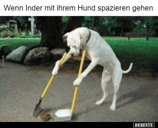Wenn Inder mit ihrem Hund spazieren gehen.. - Lustige Bilder | DEBESTE.de