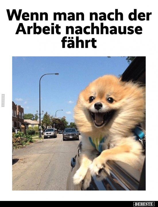 Wenn man nach der Arbeit nachhause fährt... - Lustige Bilder | DEBESTE.de
