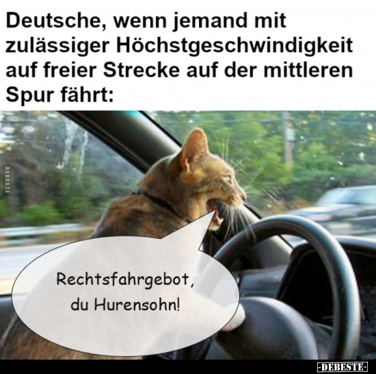 Deutsche, wenn jemand mit zulässiger Höchstgeschwindigkeit.. - Lustige Bilder | DEBESTE.de