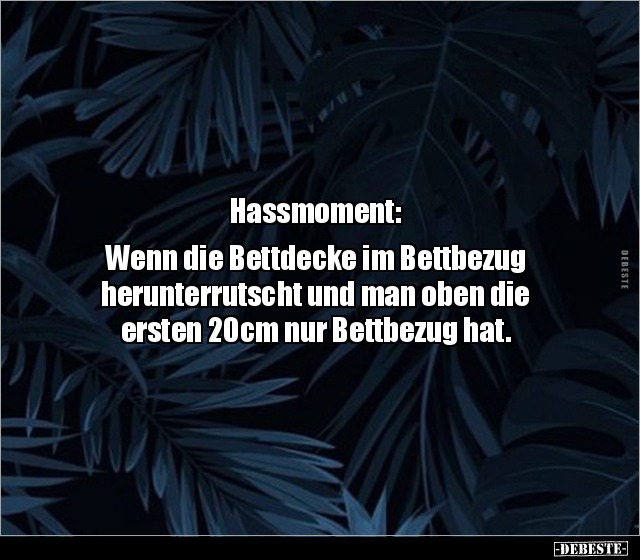 Hassmoment: Wenn die Bettdecke im Bettbezug.. - Lustige Bilder | DEBESTE.de