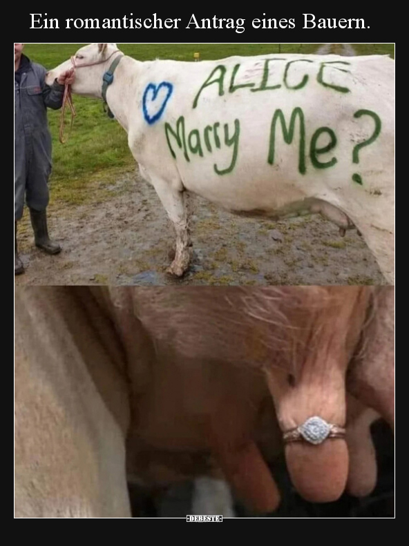 Ein romantischer Antrag eines Bauern... - Lustige Bilder | DEBESTE.de