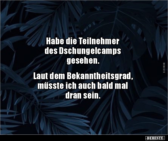 Habe die Teilnehmer des Dschungelcamps.. - Lustige Bilder | DEBESTE.de