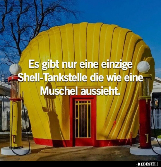 Es gibt nur eine einzige Shell-Tankstelle die wie eine.. - Lustige Bilder | DEBESTE.de