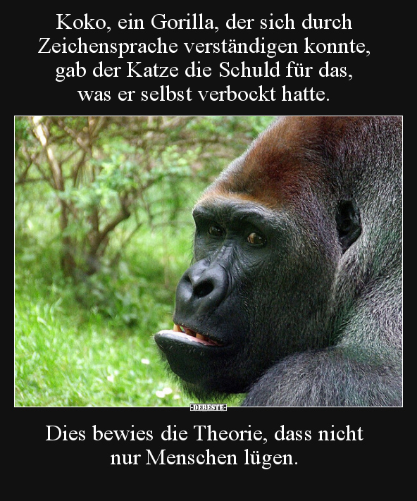 Koko, ein Gorilla, der sich durch Zeichensprache.. - Lustige Bilder | DEBESTE.de