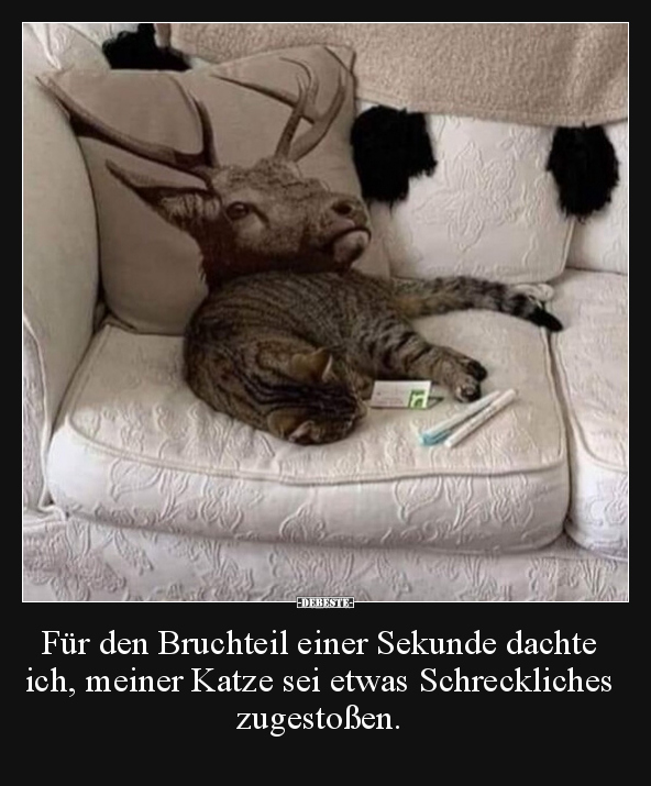 Für den Bruchteil einer Sekunde dachte ich, meiner Katze.. - Lustige Bilder | DEBESTE.de