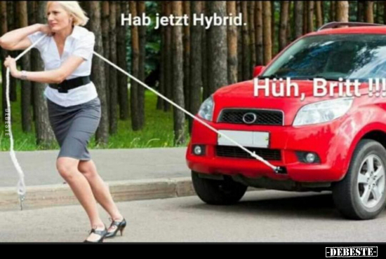 Hab jetzt Hybrid. Hüh, Britt!!!.. - Lustige Bilder | DEBESTE.de