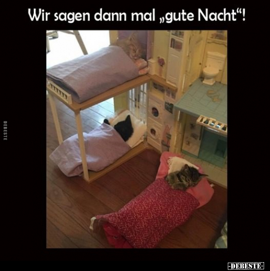 Wir sagen dann mal "gute Nacht"!.. - Lustige Bilder | DEBESTE.de
