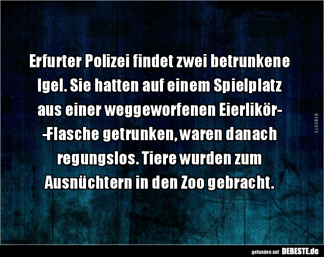 Erfurter Polizei findet zwei betrunkene Igel. Sie hatten.. - Lustige Bilder | DEBESTE.de