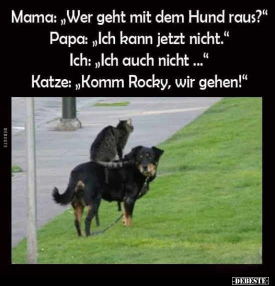 Mama: "Wer geht mit dem Hund raus?".. - Lustige Bilder | DEBESTE.de