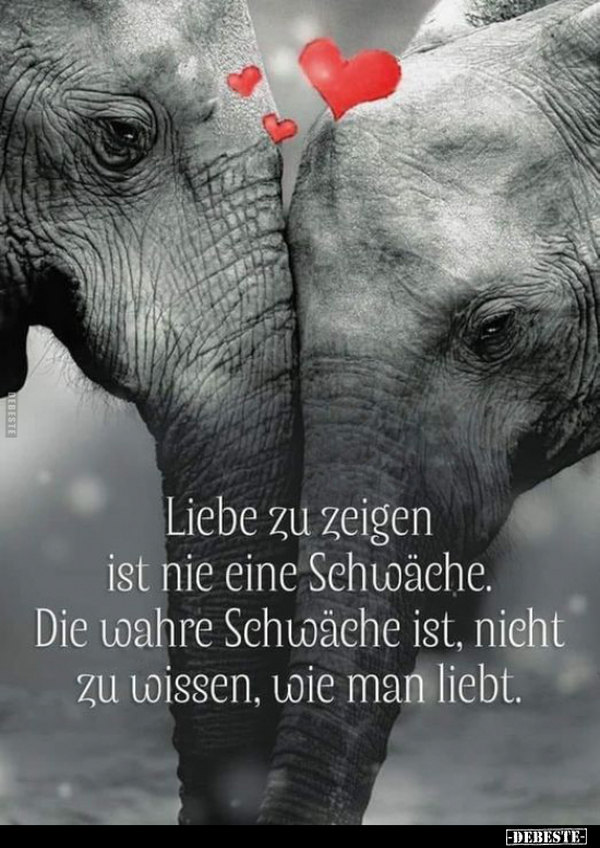 Liebe zu zeigen ist nie eine Schwäche.. - Lustige Bilder | DEBESTE.de