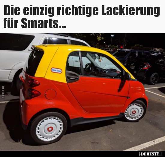 Die einzig richtige Lackierung für Smarts... - Lustige Bilder | DEBESTE.de