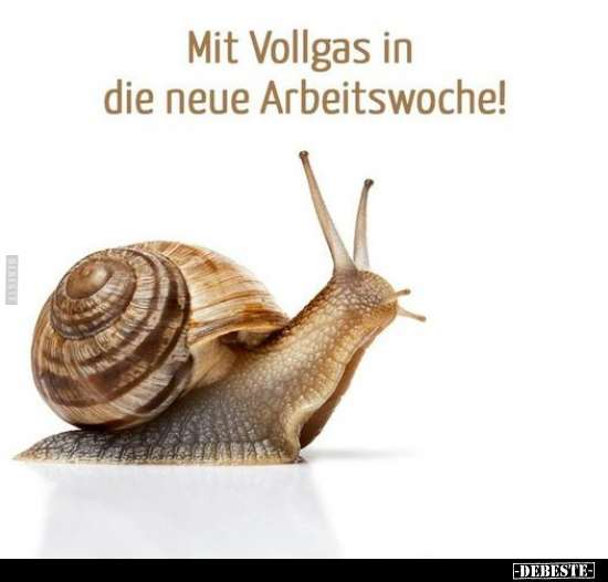 Mit Vollgas in die neue Arbeitswoche!.. - Lustige Bilder | DEBESTE.de