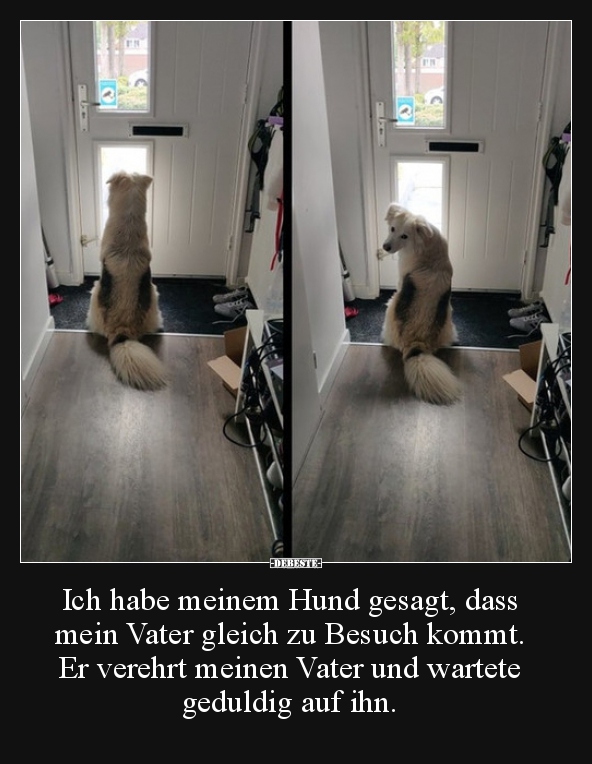 Ich habe meinem Hund gesagt, dass mein Vater gleich zu.. - Lustige Bilder | DEBESTE.de