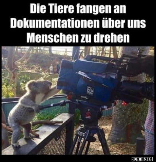 Die Tiere fangen an Dokumentationen über uns.. - Lustige Bilder | DEBESTE.de