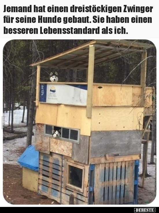 Jemand hat einen dreistöckigen Zwinger für seine Hunde.. - Lustige Bilder | DEBESTE.de