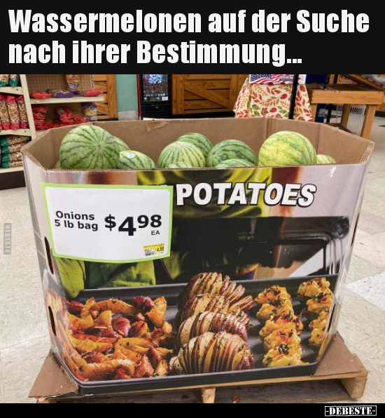Wassermelonen auf der Suche nach ihrer Bestimmung... - Lustige Bilder | DEBESTE.de