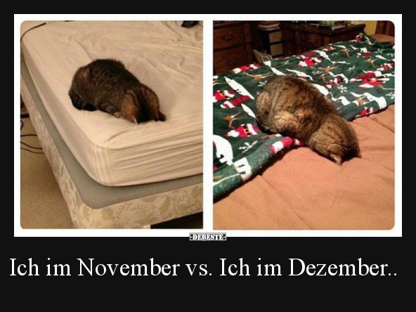 Ich im November vs. Ich im Dezember.. - Lustige Bilder | DEBESTE.de