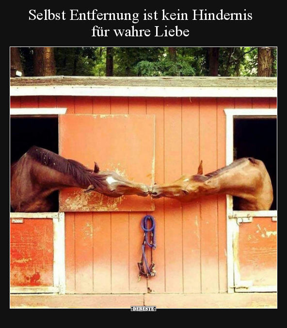 Selbst Entfernung ist kein Hindernis für wahre Liebe.. - Lustige Bilder | DEBESTE.de