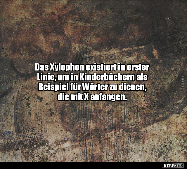 Das Xylophon existiert in erster Linie.. - Lustige Bilder | DEBESTE.de