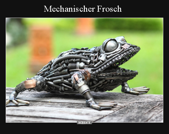Mechanischer Frosch.. - Lustige Bilder | DEBESTE.de
