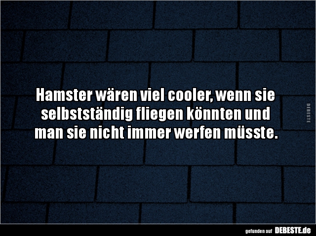 Hamster wären viel cooler, wenn sie selbstständig fliegen.. - Lustige Bilder | DEBESTE.de