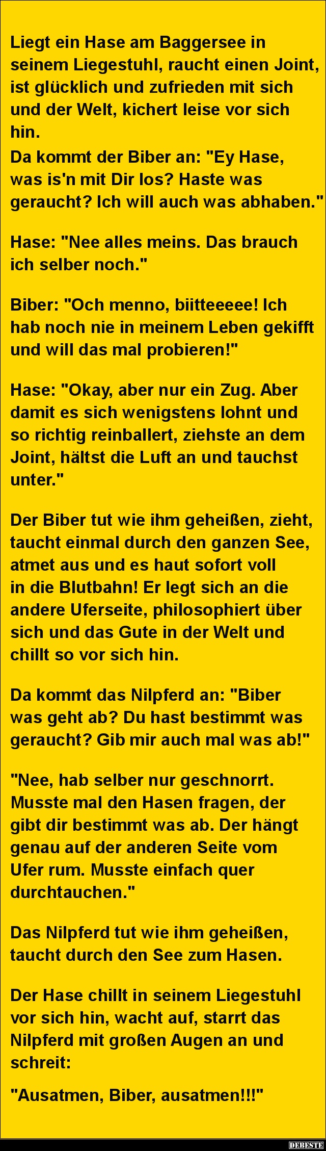 Liegt ein Hase am Baggersee in seinem Liegestuhl.. - Lustige Bilder | DEBESTE.de
