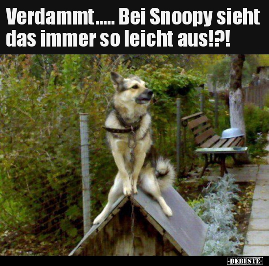 Verdammt..... Bei Snoopy sieht das immer so leicht.. - Lustige Bilder | DEBESTE.de