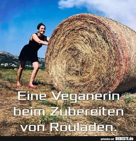 Eine Veganerin beim Zubereiten von Rouladen. - Lustige Bilder | DEBESTE.de