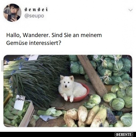 Hallo, Wanderer. Sind Sie an meinem Gemüse interessiert? - Lustige Bilder | DEBESTE.de