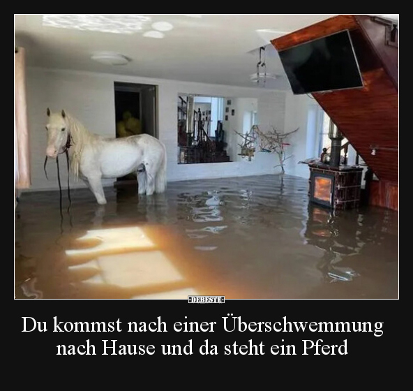 Du kommst nach einer Überschwemmung nach Hause und da.. - Lustige Bilder | DEBESTE.de