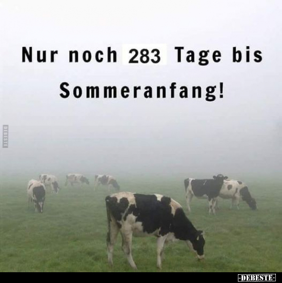 Nur noch 283 Tage bis Sommeranfang!.. - Lustige Bilder | DEBESTE.de