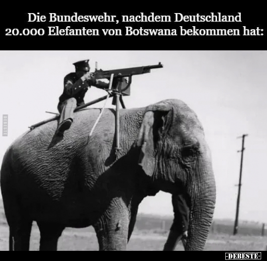 Die Bundeswehr, nachdem Deutschland 20.000 Elefanten von.. - Lustige Bilder | DEBESTE.de
