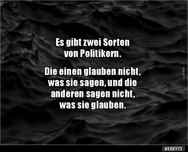Es gibt zwei Sorten von Politikern. Die einen glauben.. - Lustige Bilder | DEBESTE.de