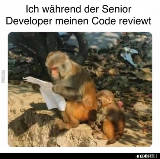 Ich während der Senior Developer meinen Code reviewt.. - Lustige Bilder | DEBESTE.de