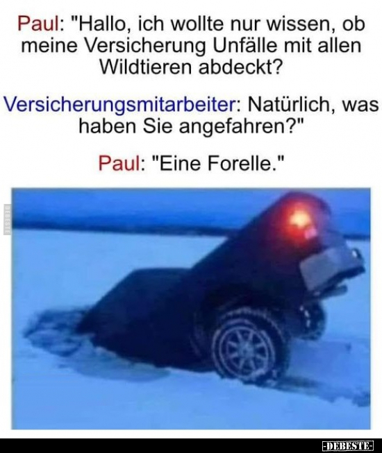 Paul: "Hallo, ich wollte nur wissen, ob meine Versicherung.." - Lustige Bilder | DEBESTE.de