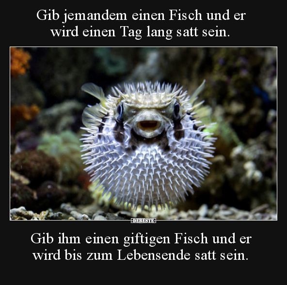 Gib jemandem einen Fisch und er wird einen Tag lang satt.. - Lustige Bilder | DEBESTE.de