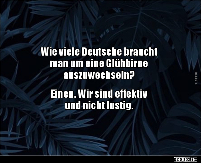 Wie viele Deutsche braucht man um eine Glühbirne.. - Lustige Bilder | DEBESTE.de