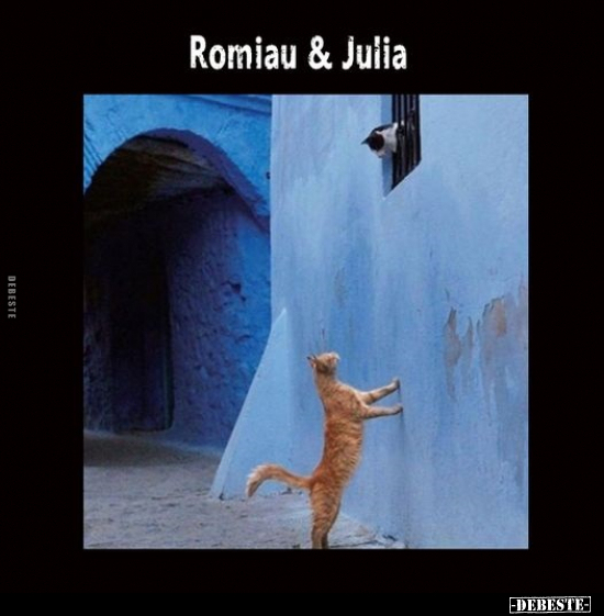 Romiau & Juila.. - Lustige Bilder | DEBESTE.de