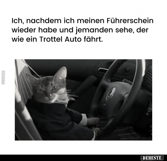 Ich, nachdem ich meinen Führerschein wieder habe.. - Lustige Bilder | DEBESTE.de