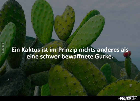 Ein Kaktus ist im Prinzip nichts anderes als eine schwer.. - Lustige Bilder | DEBESTE.de