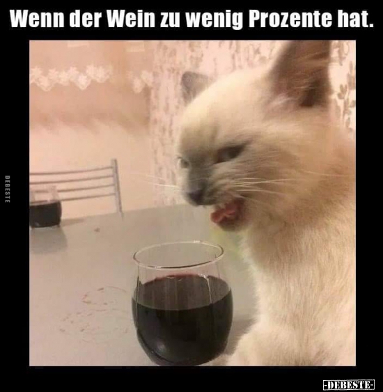 Wenn der Wein zu wenig Prozente hat... - Lustige Bilder | DEBESTE.de