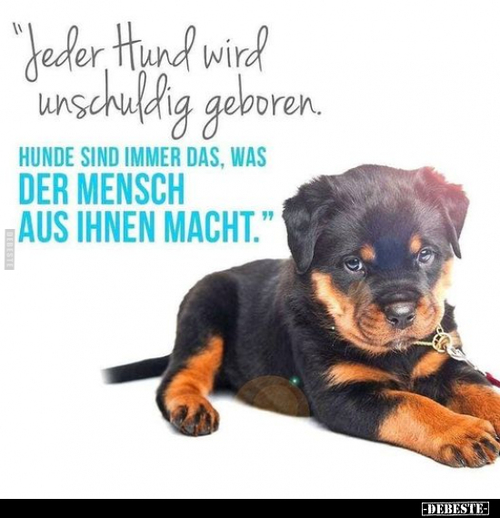 "Jeder Hund wird unschuldig geboren..." - Lustige Bilder | DEBESTE.de