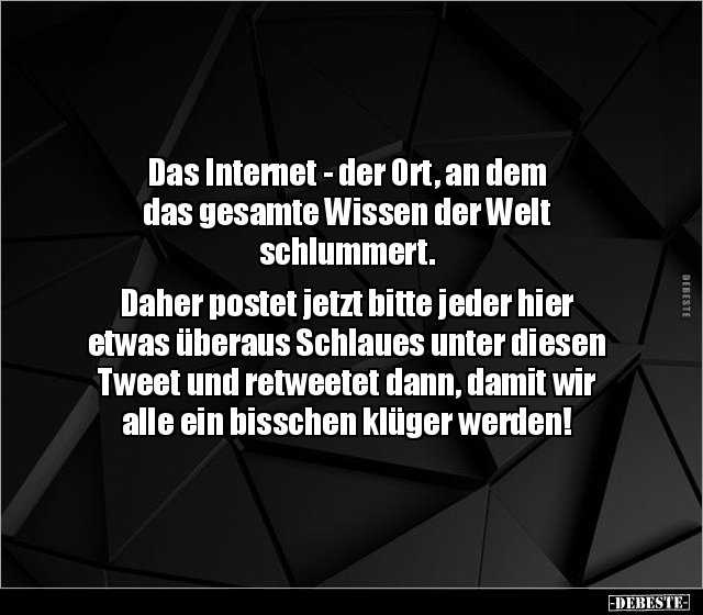 Das Internet - der Ort, an dem das gesamte Wissen der Welt.. - Lustige Bilder | DEBESTE.de